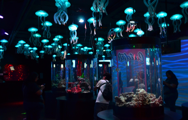 WhatsApp Image 2025-03-12 at 15.35.48