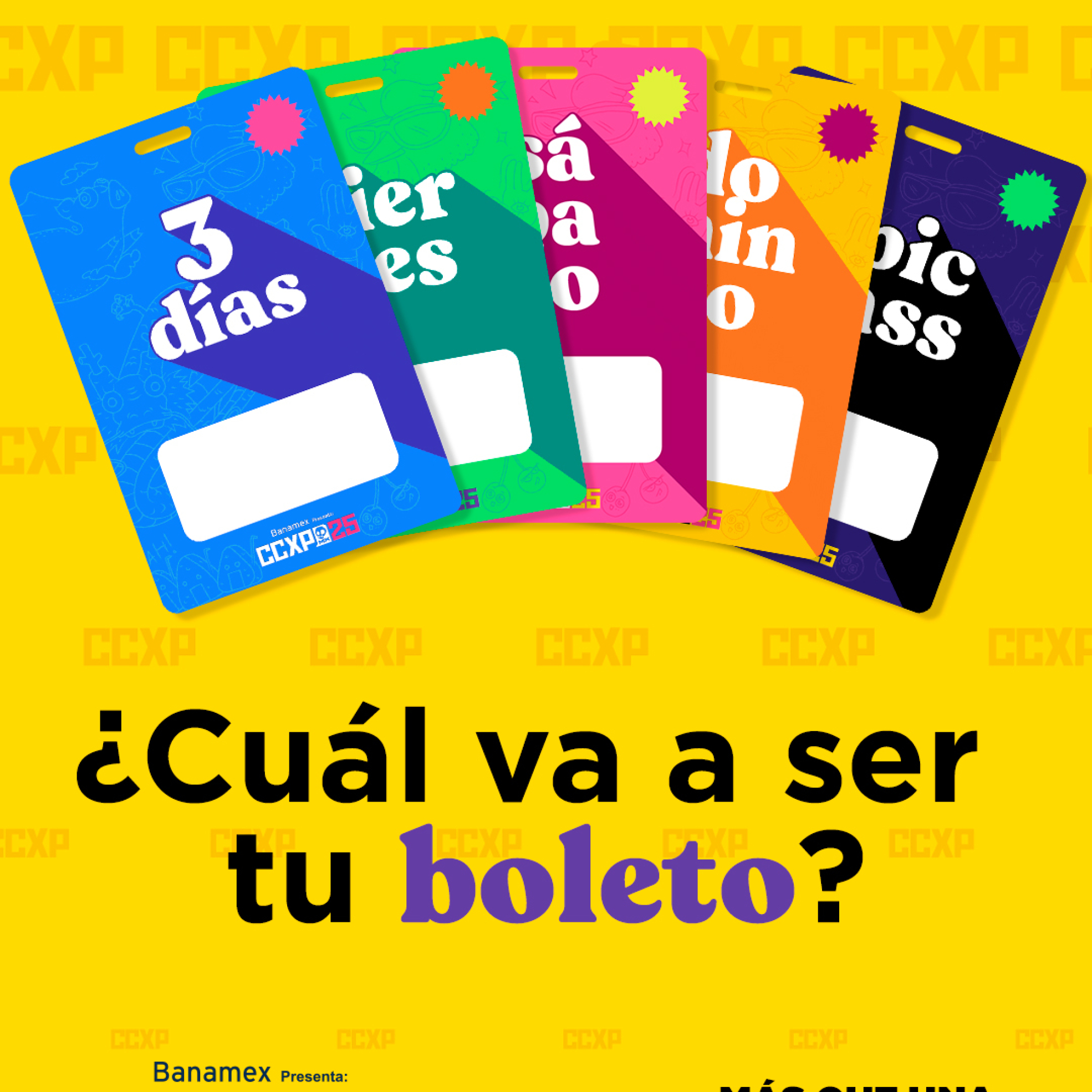 481251283_122200919306060075_4056399544610840747_n