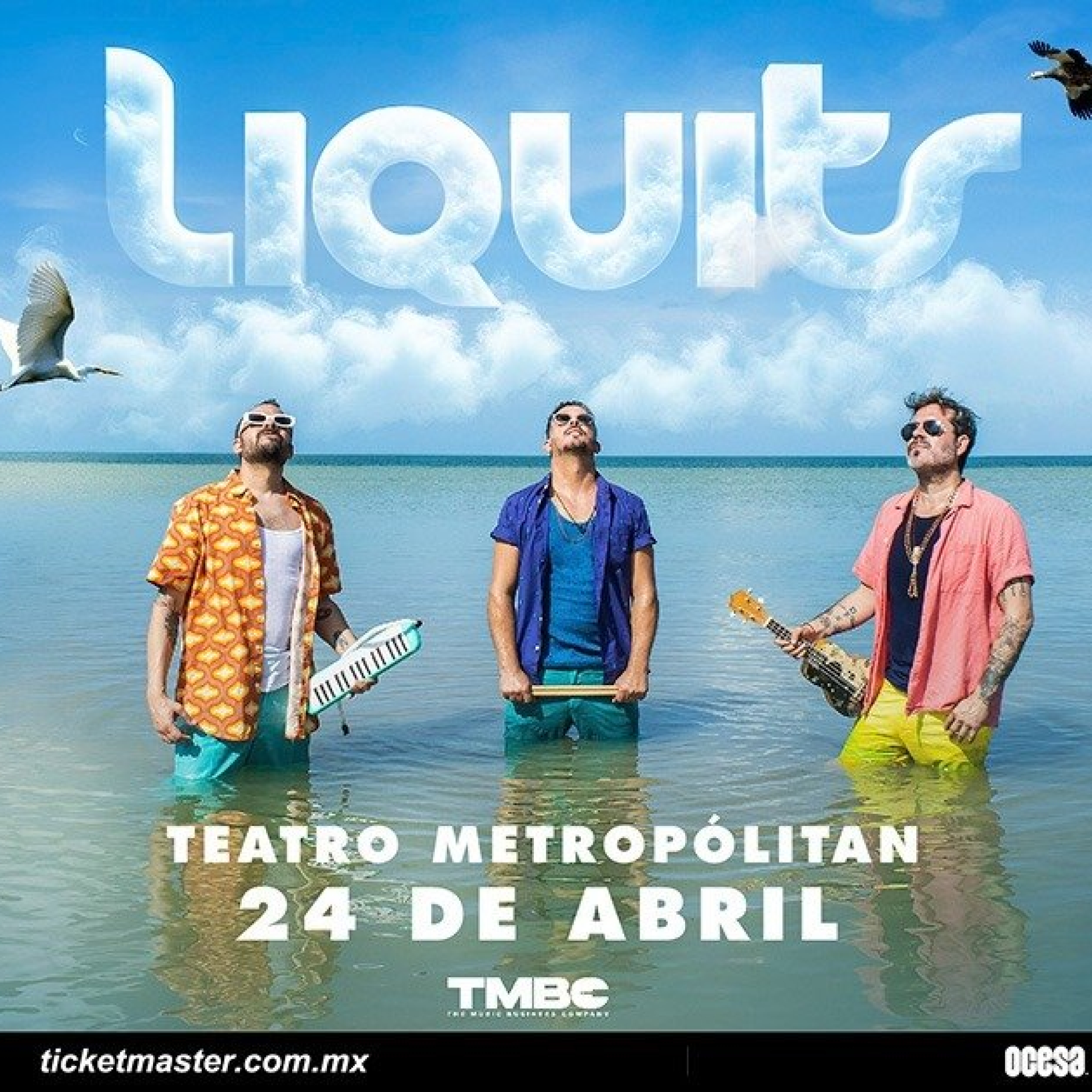 image_processing20241204-9-tc9tja