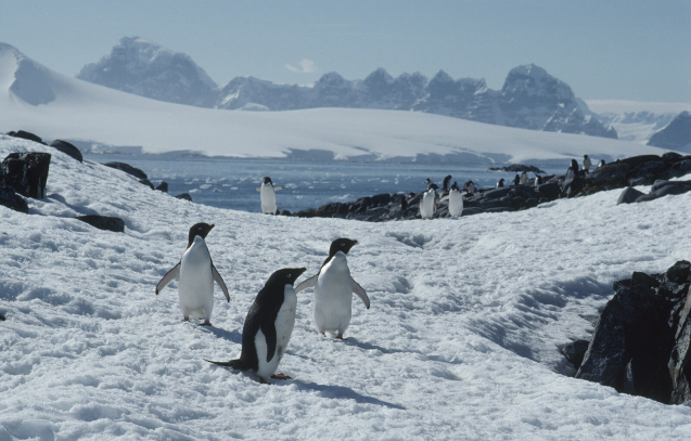 nationalgeographic_446272_37e9fe98