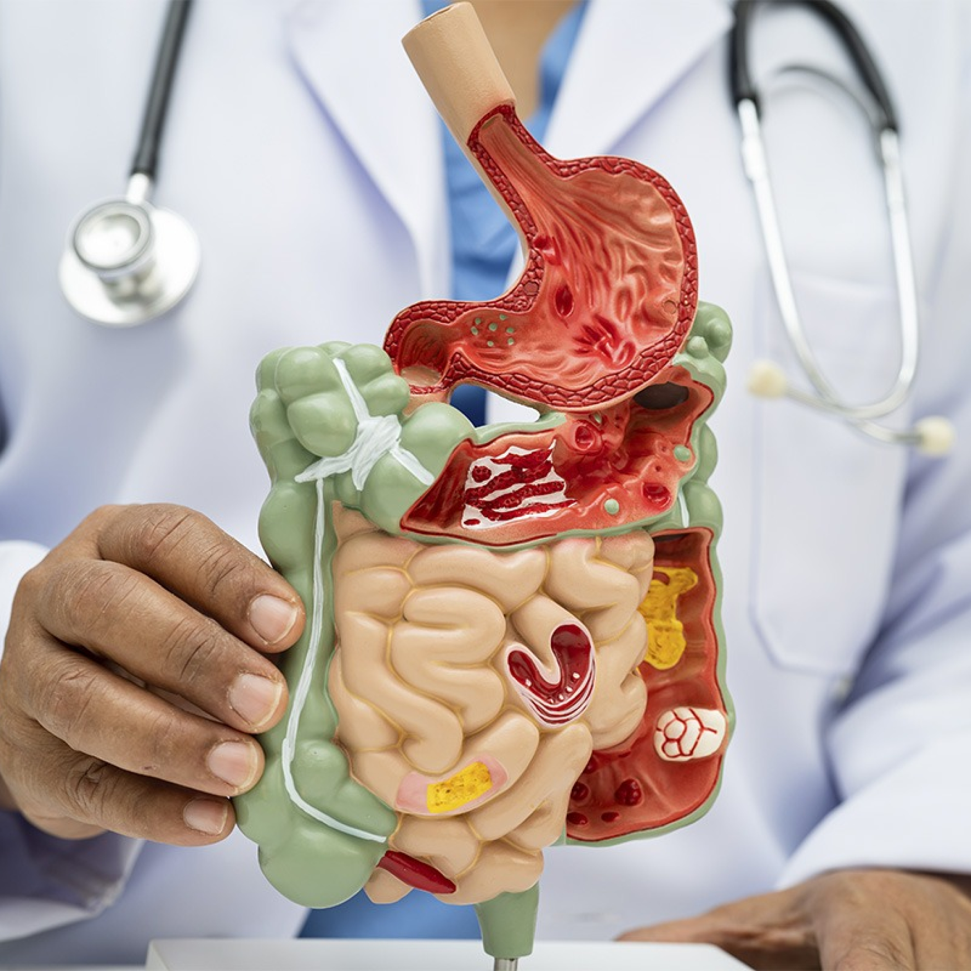 PiSA_Dia_Mundial_Salud_digestiva_02