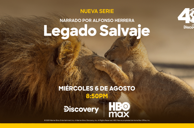 DSC - Parenthood - KA - MEX - Prelaunch - 16-9