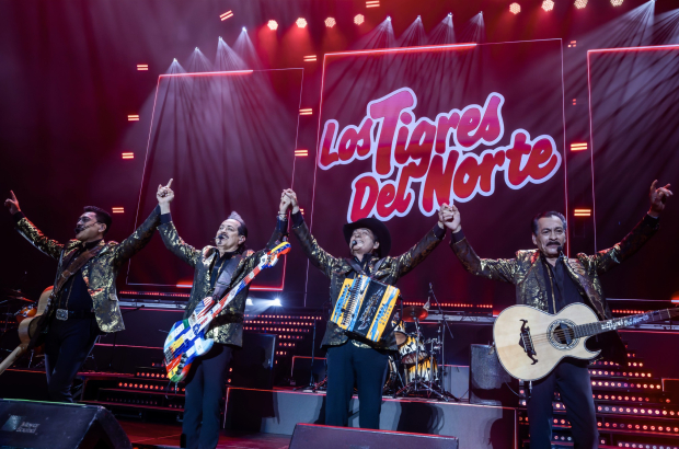 Processed with Lensa with PT3 filter