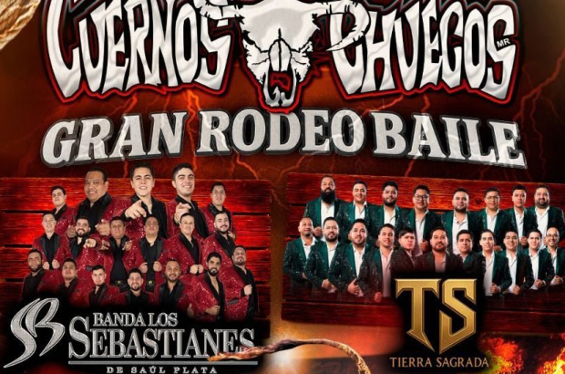 Cuernos chuecos arte