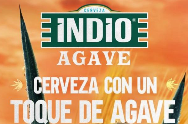 Indio Agave (1)
