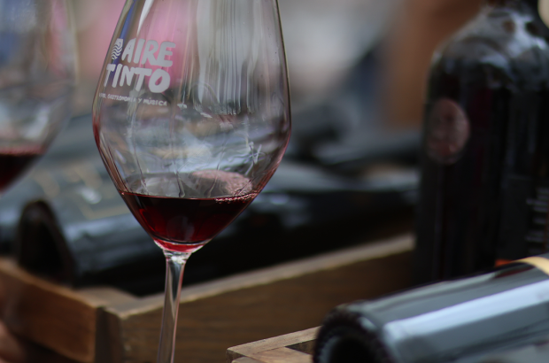 Copia de AT_Parrilla_Valquirico_Carrusel_2_6