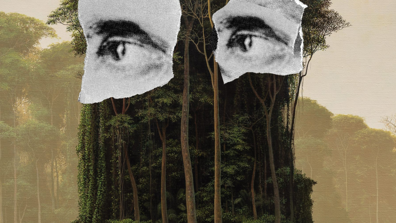 Poster Perseverancia