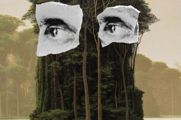 Poster Perseverancia