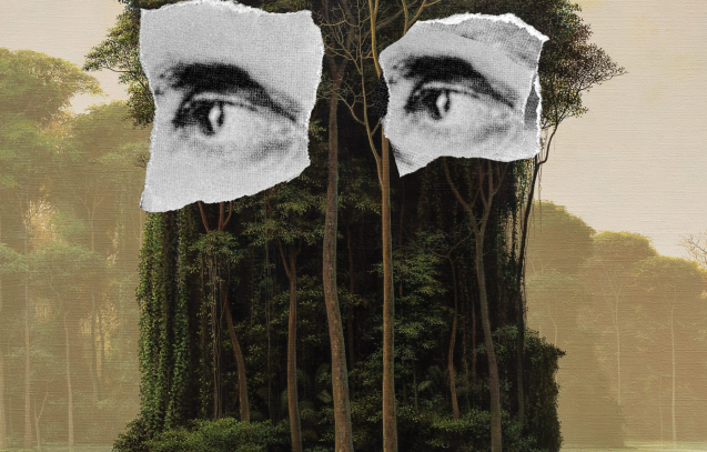 Poster Perseverancia