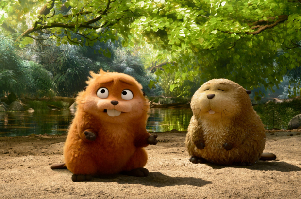 (L-R) Mabel and Loaf in Pixar's HOPPERS. Photo courtesy of Pixar. © 2025 Disney/Pixar. All Rights Reserved.