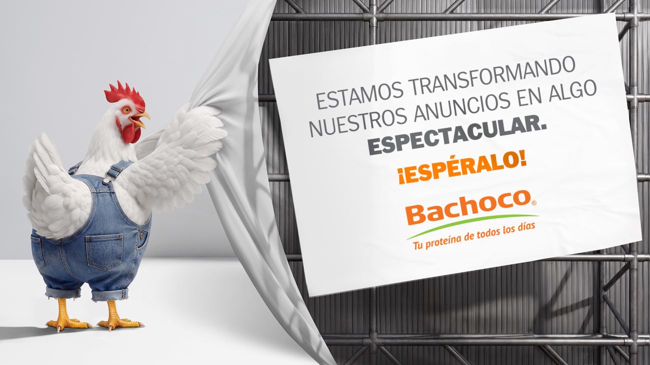 CateleraStunt Bachoco
