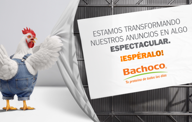 CateleraStunt Bachoco